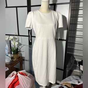 CALVIN KLEIN Womens White Trim At Waist Lined Short Sleeve Fit + Flare Dress